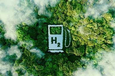 hfs-focusarea-desktop